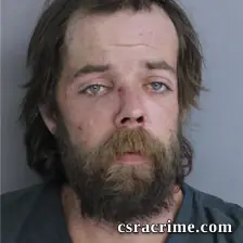 Brandon Williams booking photo