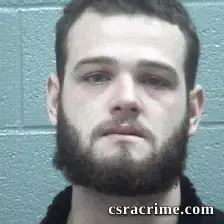 Brandon Wilson booking photo
