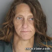 Brandy Hydrick booking photo