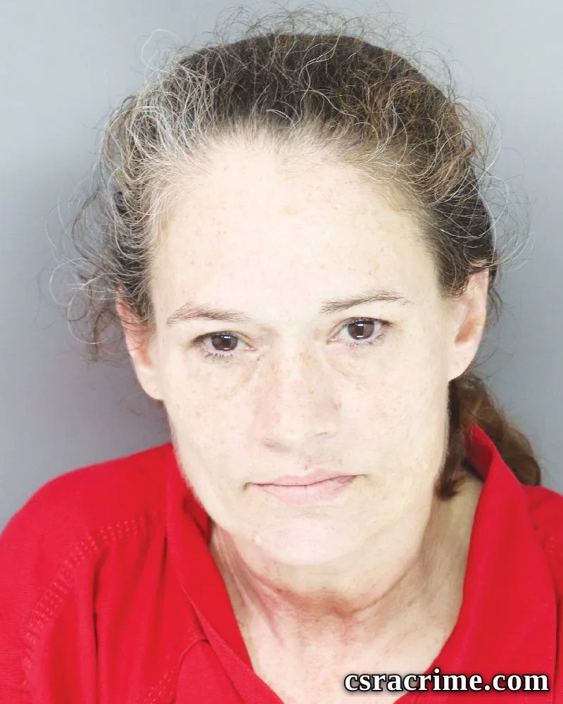 Brandy Johnston booking photo