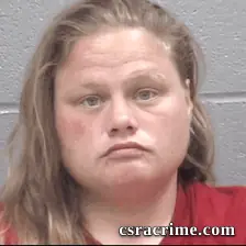 Brandy King booking photo