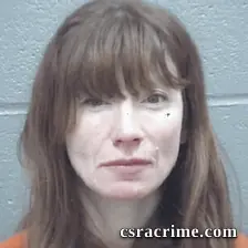 Brandy Powell-Gentry booking photo