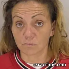 Brandy Renee Norman booking photo