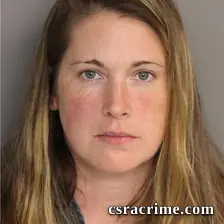 Brandy Skinner booking photo