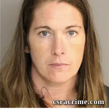 Brandy Skinner booking photo