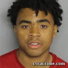 Brannon Lewis booking photo