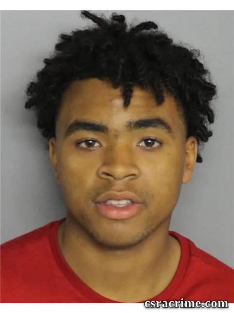 Brannon Lewis booking photo