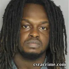 Braylin Livingston booking photo