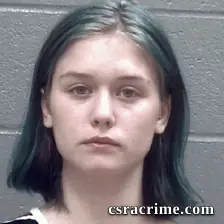 Breanna Bonness booking photo