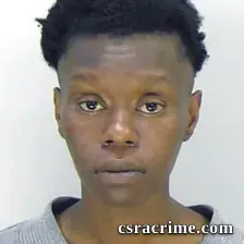 Breanna Miller booking photo