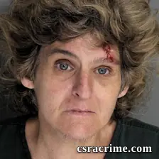 Brenda Airington booking photo