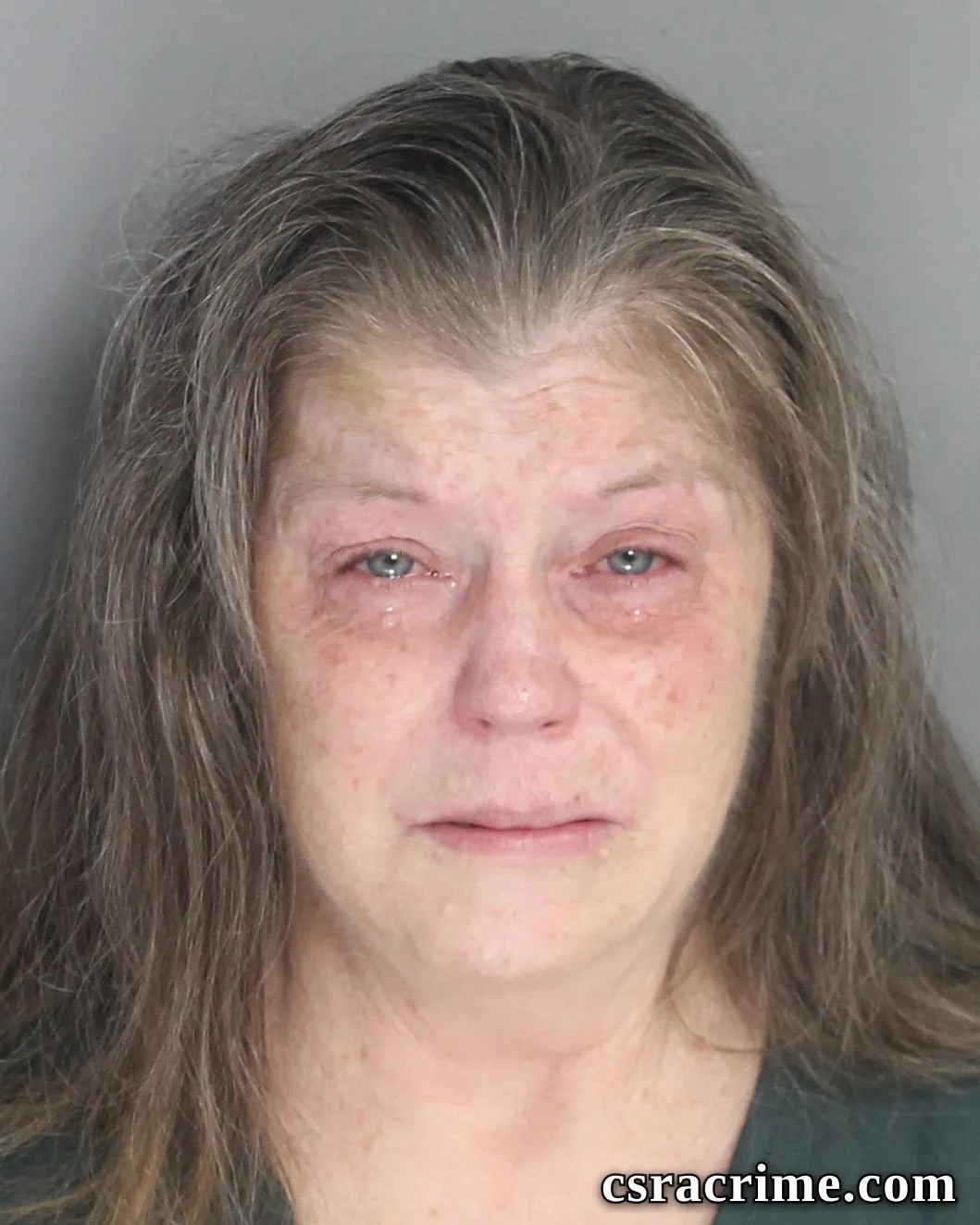 Brenda Fulmer booking photo