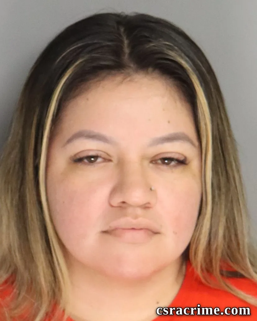 Brenda Hernandez Zavala booking photo