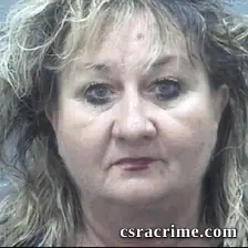 Brenda Johnson booking photo
