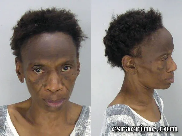 Brenda Scott booking photo