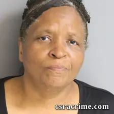 Brenda Young booking photo
