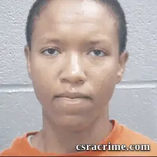 Breonna Dunn-Houston booking photo