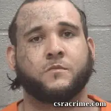 Brett Ronald Johnson booking photo