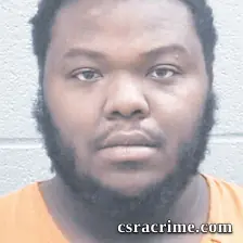 Brian Livingston JR booking photo