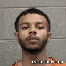 Brian Willie Johnson JR booking photo