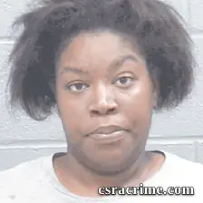 Briana Hickson booking photo
