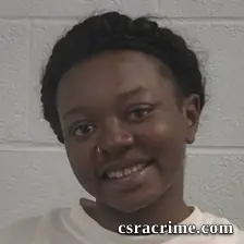 Brianna Atkins booking photo