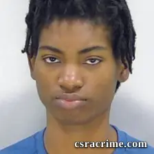 Brianna Cone booking photo