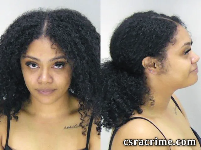 Brianna Norman booking photo