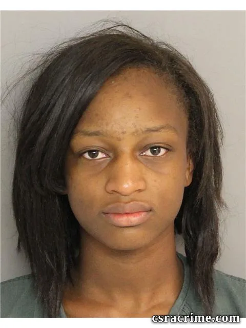 Brianna Wigfall booking photo