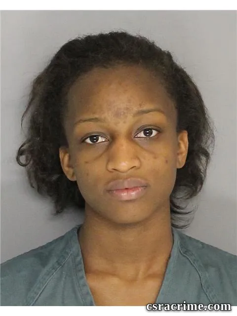 Brianna Wigfall booking photo