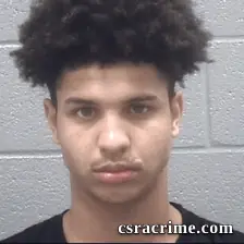 Brice Crawford booking photo