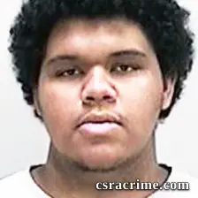 Brice Fountain booking photo