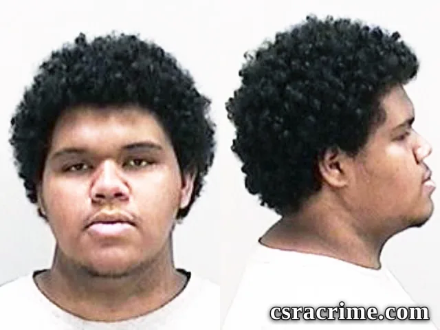 Brice Fountain booking photo
