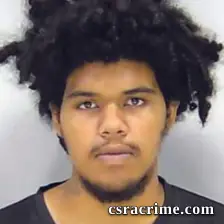 Brice Fountain booking photo