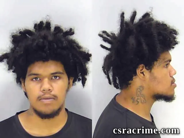 Brice Fountain booking photo