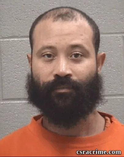 Brice Thomas Williams booking photo