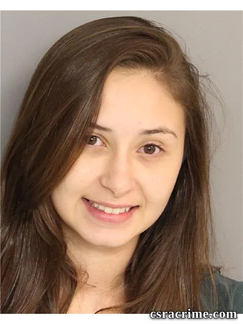 Bridget Brooks booking photo