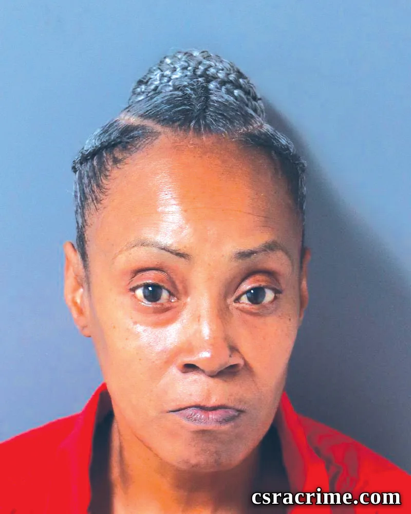 Bridget Hill booking photo