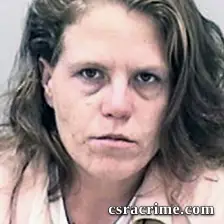 Bridgett Norton booking photo