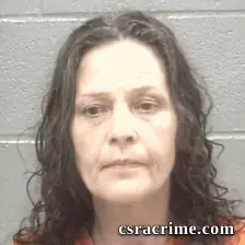 Bridgette Deanene Sheets booking photo