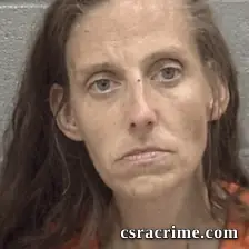 Bridgette Janay Brewer booking photo