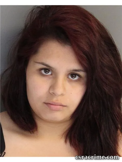 Bridgitt Avellaneda Robles booking photo