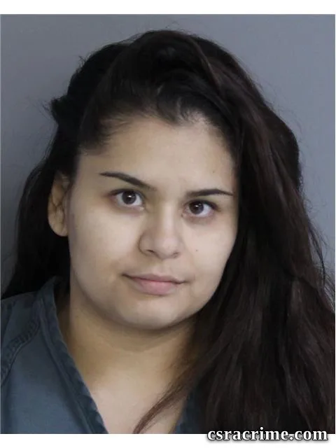 Bridgitt Avellaneda Robles booking photo