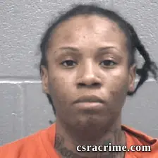 Brilena Hardwick booking photo