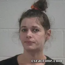 Britney Elizabeth Stephens booking photo