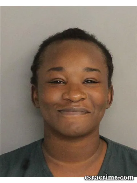 Britney Felder booking photo