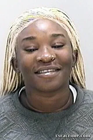 Britney Felder booking photo