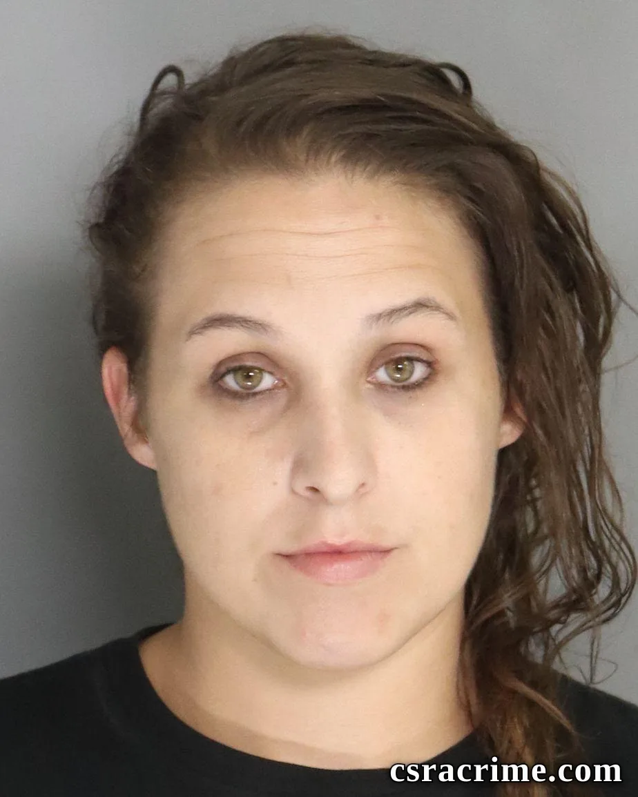 Brittani Anderson booking photo
