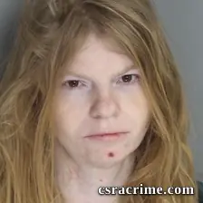 Brittany Boucher booking photo