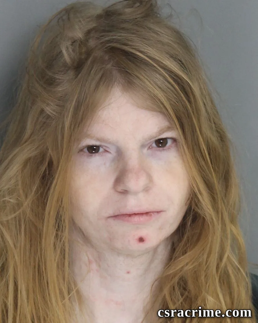 Brittany Boucher booking photo